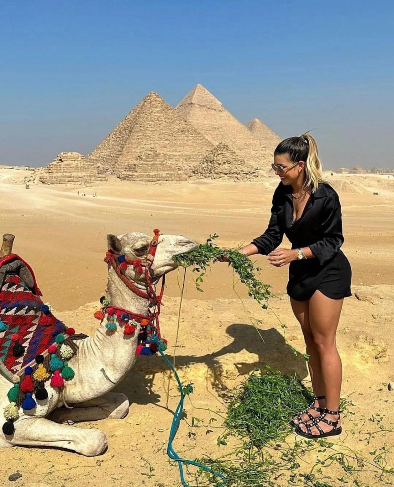 The Boulevard Sphinx Tower Kafret el-Gabal Eksteriør bilde
