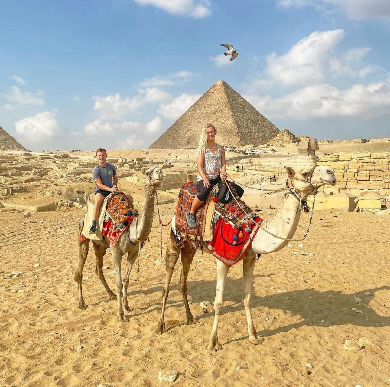 The Boulevard Sphinx Tower Kafret el-Gabal Eksteriør bilde